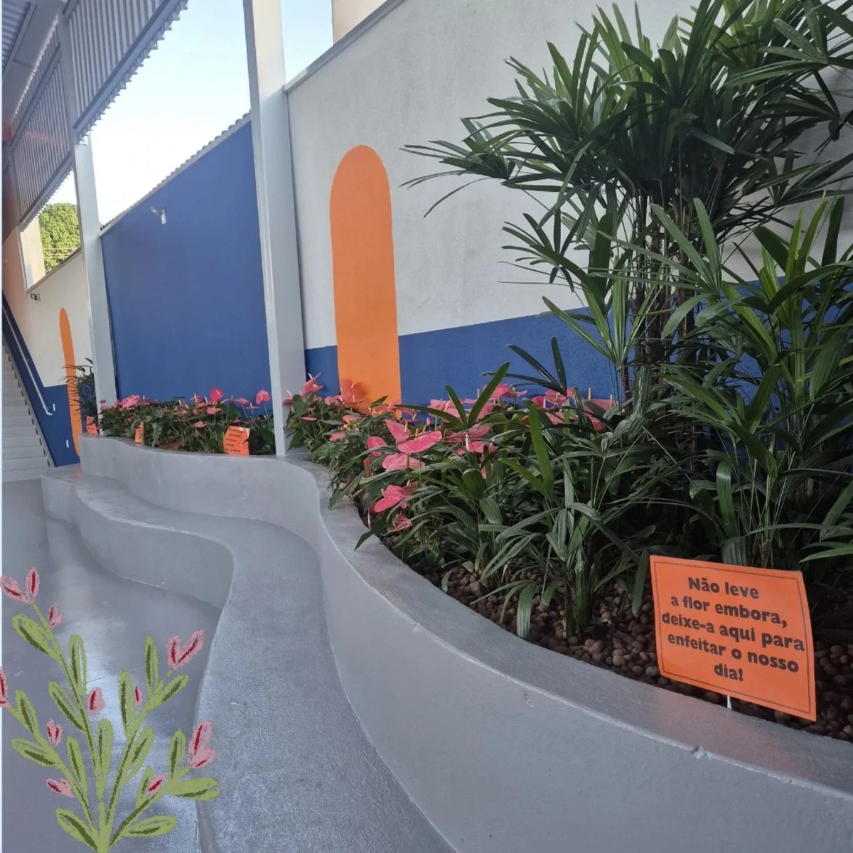 Corredor externo da escola com canteiro de plantas e parede azul e laranja